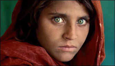 Avoir une vue perçante, c'est avoir un oeil de quel animal ?