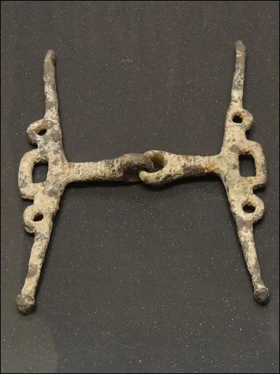 Ne profite pas vraiment de sa fête, c'est le...