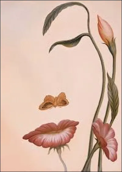 C'est un petit papillon qui forme le nez de cette "femme fleur" créée par le grand maître de l'illusion :