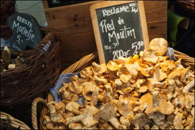 Si vous trouvez, on pourra dire que vous ne manquez pas d'air !