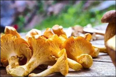 D&eacute;tendez-vous, allez &agrave; la p&ecirc;che !