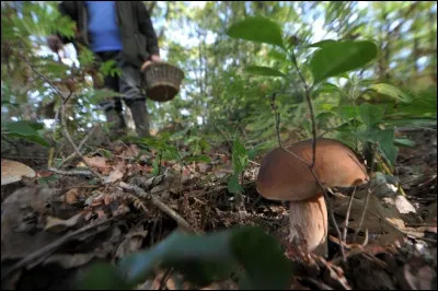 Je suis s&ucirc;r que vous ne manquez pas d'atouts, alors identifiez le peintre dont le nom commence par C !