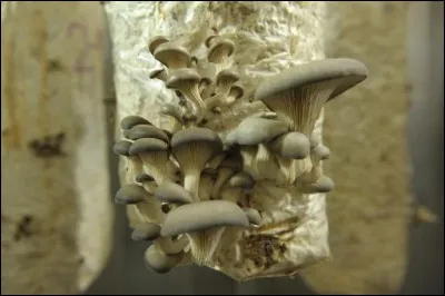 Je vous laisse tourner &ccedil;a dans votre t&ecirc;te !