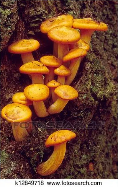 Dans les airs, mais pas seulement !