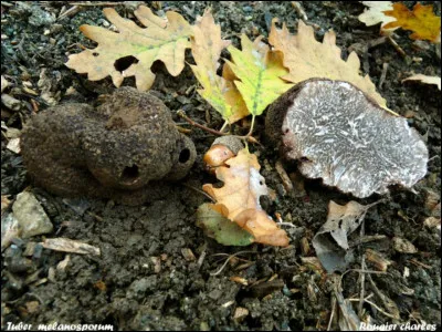 J'esp&egrave;re que vous l'aurez � en moi !
