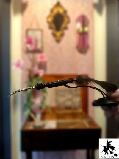 Quelle phrase, Harry est-il contraint d'&eacute;crire avec la plume de Dolores Ombrage ?