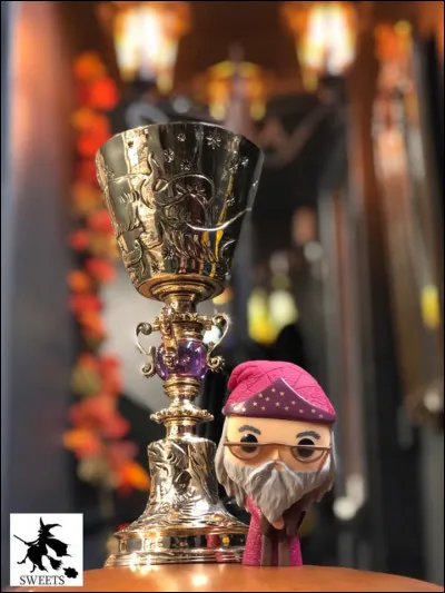 Selon Albus Dumbledore, &agrave; quoi ressemble sa cicatrice situ&eacute;e au-dessus de son genou gauche ?