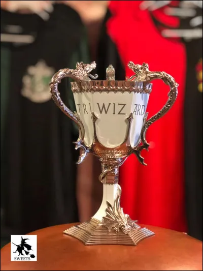 Quel est l'&acirc;ge minimum pour concourir au "Tournoi des Trois Sorciers" ?