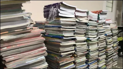 Quel roi imposa le français comme langue officielle ?