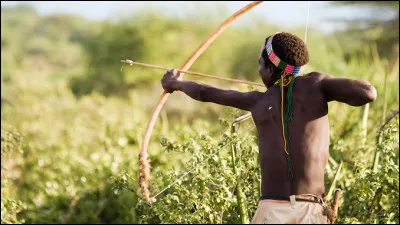 Petit rongeur d'Alsace !