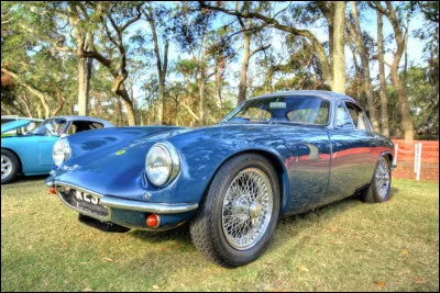 Pouvez-vous me dire en quel matériau était fabriqué le châssis de cette Lotus Elite ?