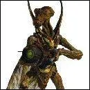 De quel espce s'agit-il ?