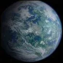 Quel est cette plante ?