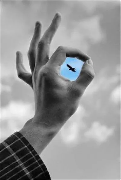 Alain Souchon chante :