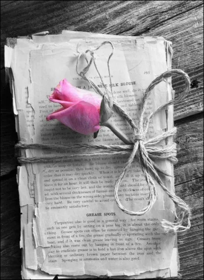 Qui a écrit "Les mots de ma vie", mots qui nous ont créé bien des maux de tête ?