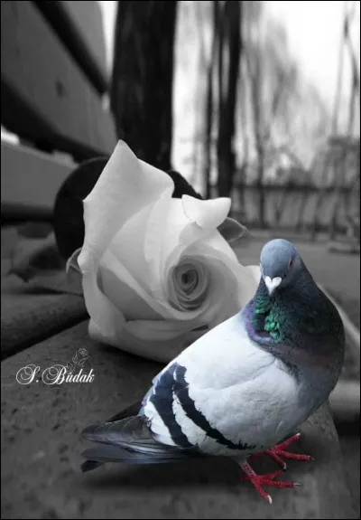 Comment était la vie dans un titre de Goldman ?