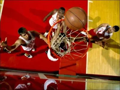 Quel sport pratiquent ces joueurs ?