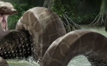 Quiz Serpents