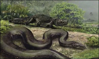 À quelle température moyenne doit-il vivre ?