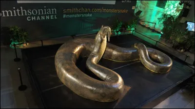 La taille moyenne du Titanoboa est d'environ...