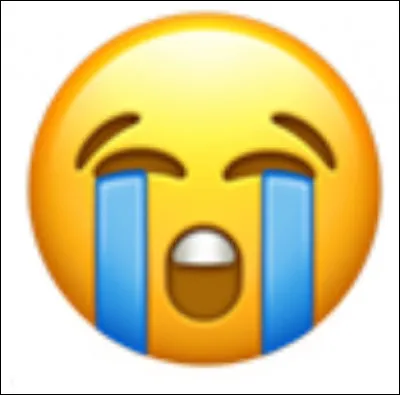 Mais que ne fait pas cet émoji ?