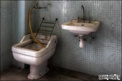 Qui chantait : "Ho qu'il est beau le lavabo, qu'il est laid le bidet" ?