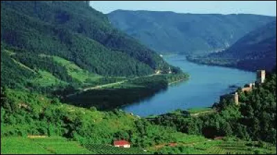 À qui doit-on "Le Beau Danube bleu" ?