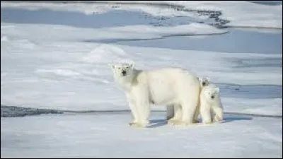 D'où est-il originaire ?