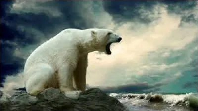 Combien de matières grasses le lait produit par la femelle contient-ils ?