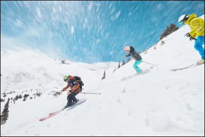 On trouve des stations de ski dans ces pays.