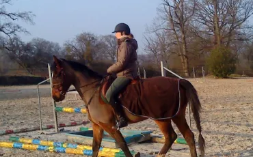 Quiz Galop 1
