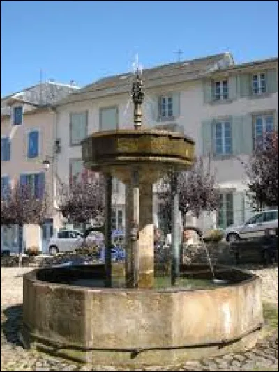 Vous avez sur cette image la Fontaine des Pisseurs de Lacaune. Ville Occitane, dans l'arrondissement de Castres elle se situe dans le département ...