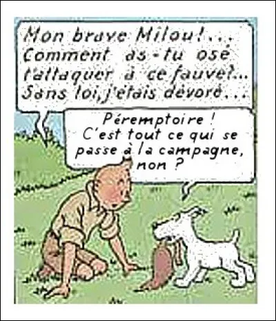 Plus d'une fois néanmoins, Milou retrouve ses réflexes de chien de chasse réputé... mais il en perd son texte ! Saurez-vous lui rafraîchir la mémoire ?