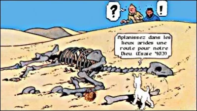 Et que serait notre héros sans ses histoires d'os ! Dans "Le Crabe aux Pinces d'Or", il nous fait une découvert mac(r)abre... Qu'en dit-il ?
