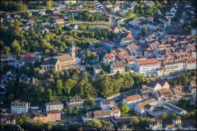 Cette ville alsacienne de 5 700 habitants, capitale de la petite région du Sundgau, sous-préfecture du Haut-Rhin, c'est ...