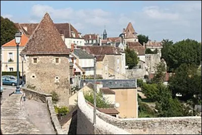 Cette petite ville de 6600 habitants, sous préfecture de l'Yonne, établie sur les collines surplombant la vallée du Cousin, c'est ...