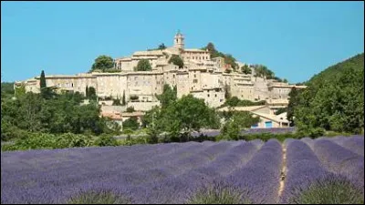 Cette sous-préfecture des Alpes-de-Haute-Provence, située entre le Lubéron et la montagne de Lure, peuplée 5000 habitants, c'est ...