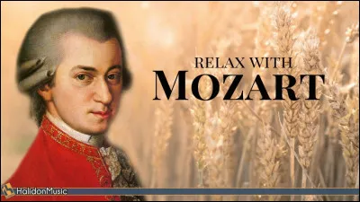 Quel est le vrai prénom de Nannerl, la sur aînée de Mozart ?