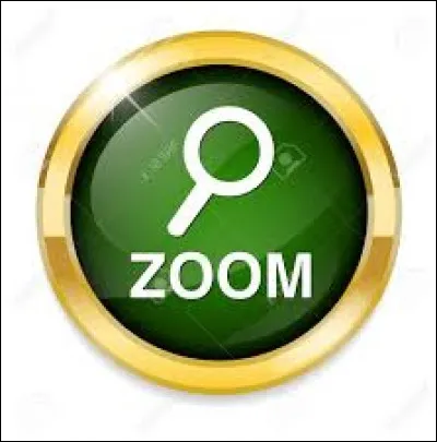 Combien y a-t-il de 'o' dans le mot 'zoom' ?