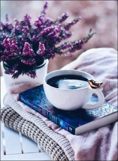 Quel prénom porte l'écrivain canadien Martel, qui a écrit "L'Histoire de Pi" ?