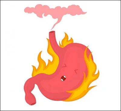 Quel acide contient notre estomac ?