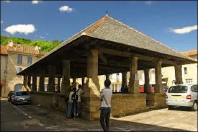 Vous avez sur cette image la halle de Caylus. Commune Occitane, dans l'ex région Midi-Pyrénées, elle se trouve dans le département ...