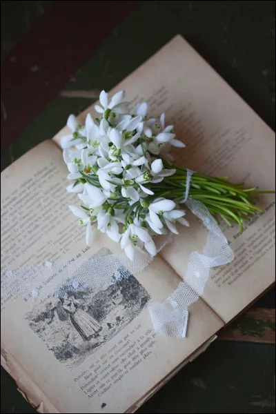 On termine avec l'auteur de "Belle du Seigneur" ! :