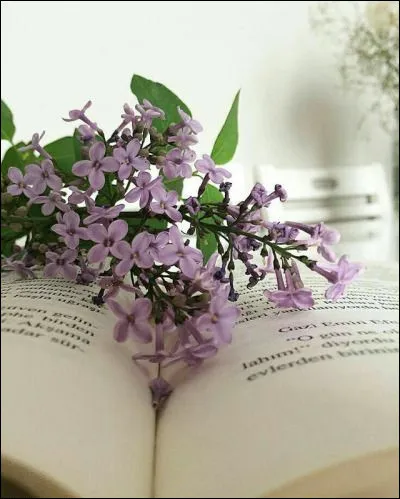 Il a écrit "Les Particules élémentaires", quel est le prénom de Houellebecq ?