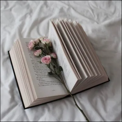 " Le Mystère de la chambre jaune" a été écrit par Leroux, quel était son prénom ?