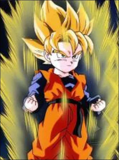 Quel est ce personnage de Dragon Ball ?