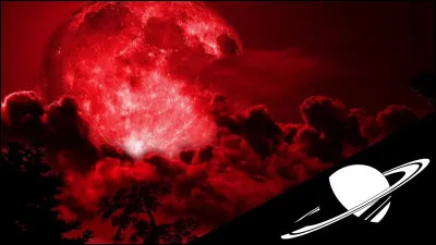 Remus est de sang...