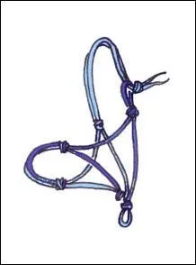 Comment s'appelle ce Licol ?