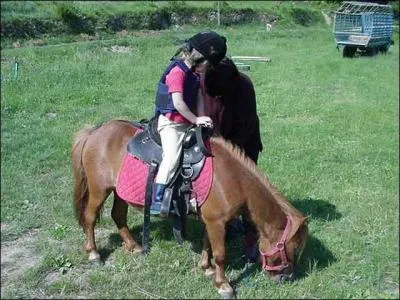 Comment arrter un cheval en reprise ?