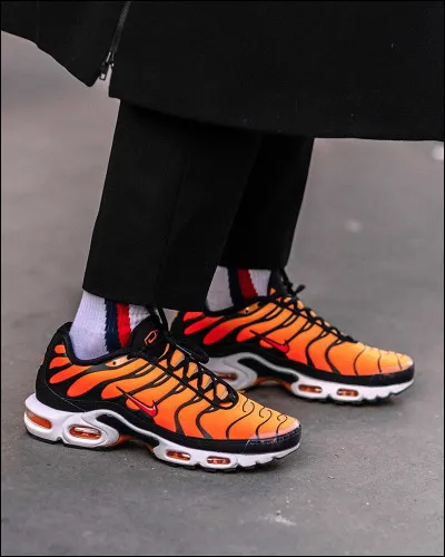 Quelle est cette chaussure ?